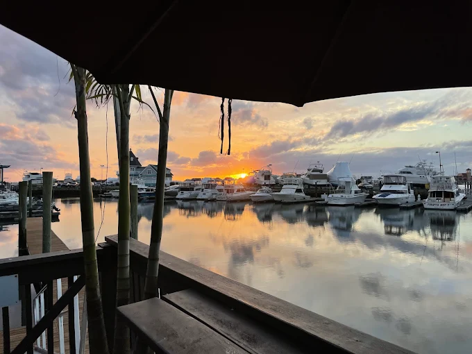 unnamed 2025 11 23T131939.044