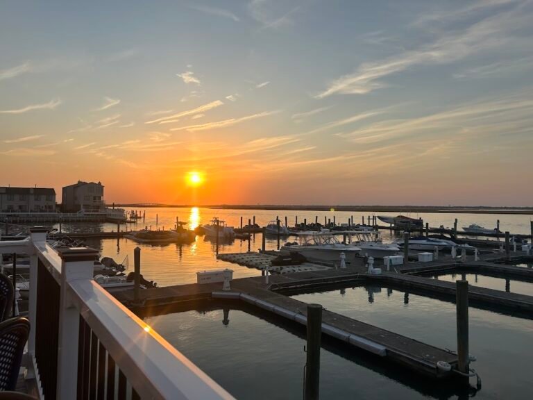 lambertis sunset marina  restaurant 3 768x576