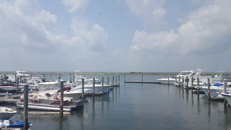 lambertis sunset marina  restaurant 4 768x432