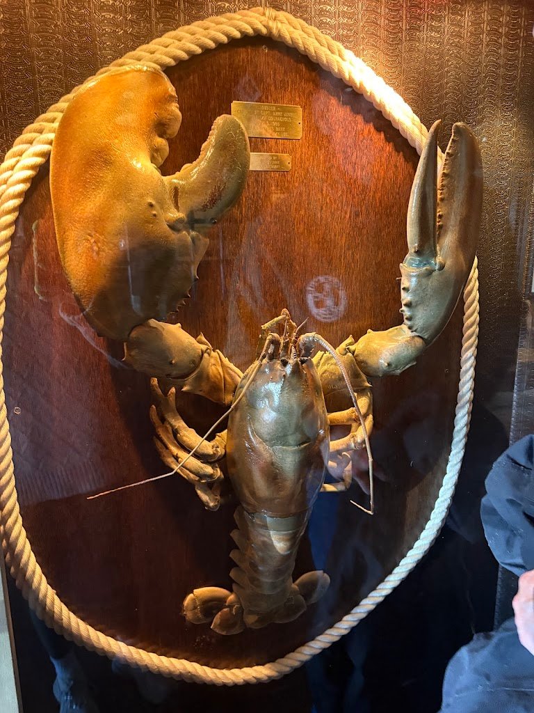 lobster house and bar 6