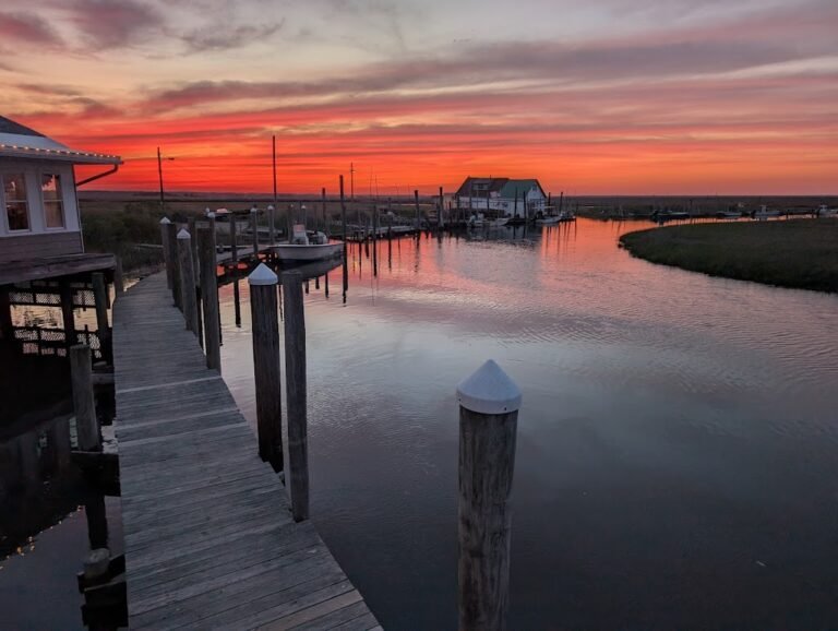 oyster creek restaurant and boat bar 3 768x578