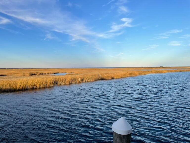 oyster creek restaurant and boat bar 4 768x576