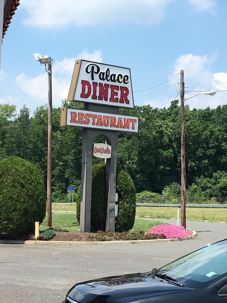 palace diner 8
