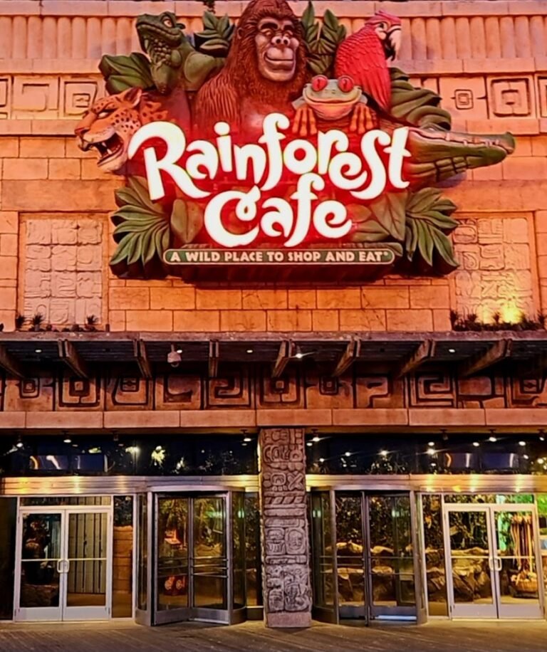 rainforest cafe 6 768x916