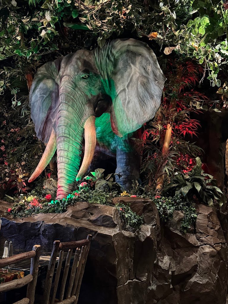 rainforest cafe 7