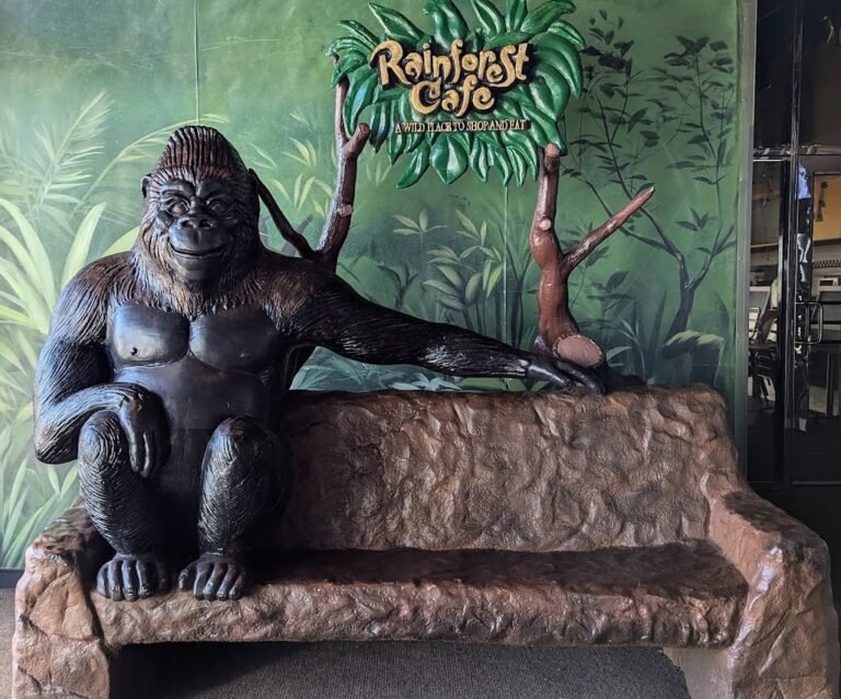 rainforest cafe 9 768x638