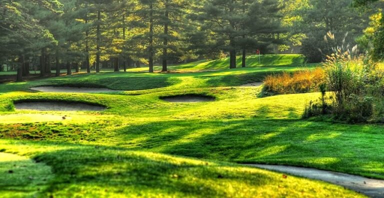 seaview hotel 5 768x397