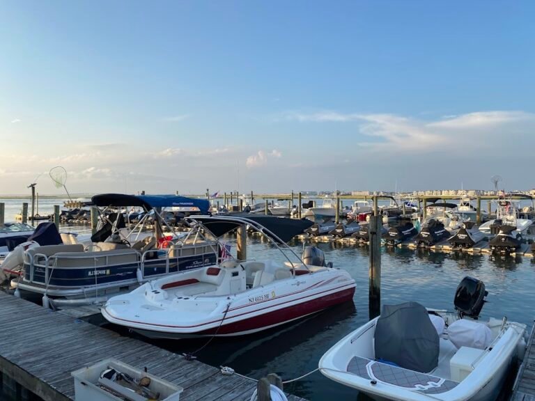 south dock cafe 1 768x576