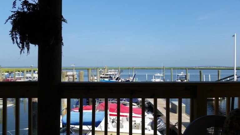 south dock cafe 2 768x432