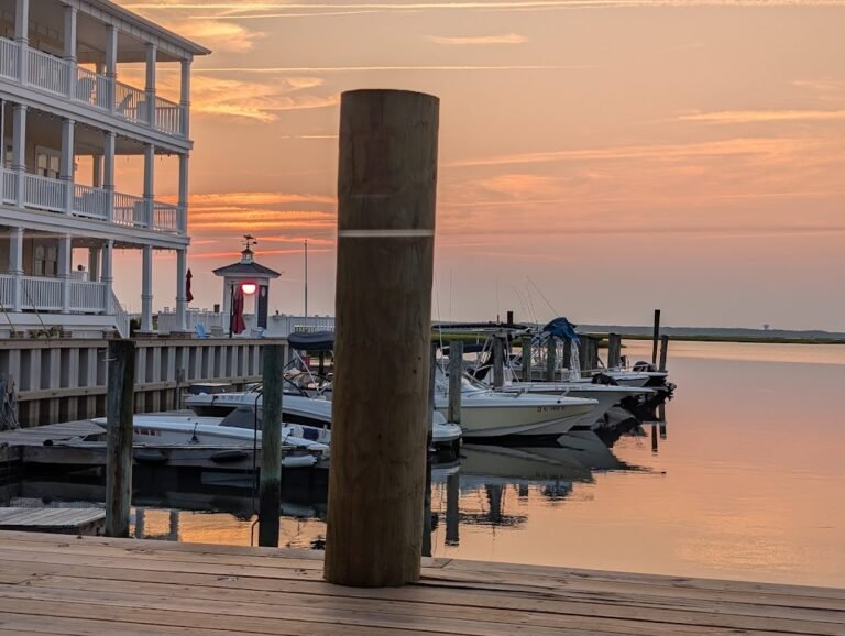 south dock cafe 7 768x578