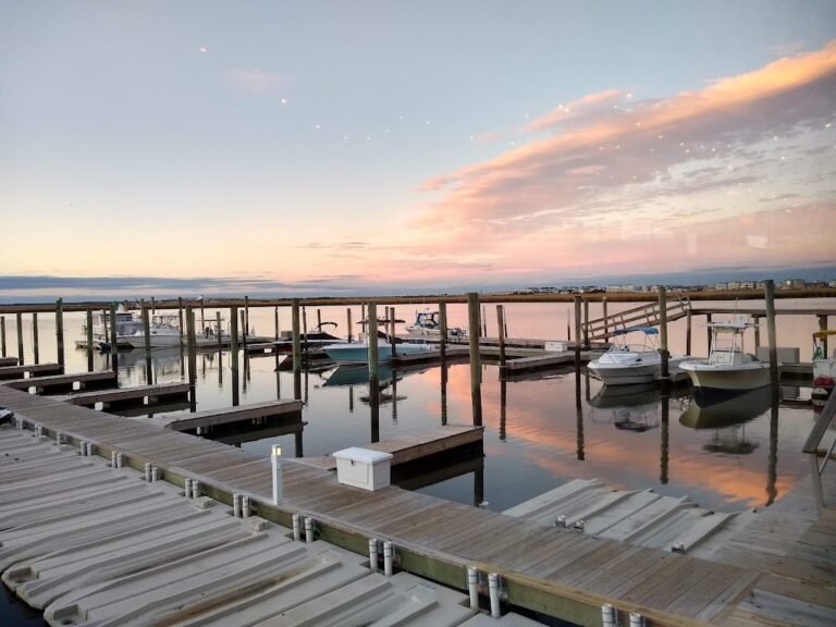 south dock cafe 8 768x576