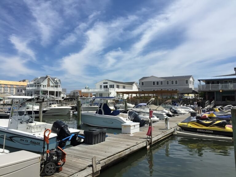 south dock cafe 9 768x576