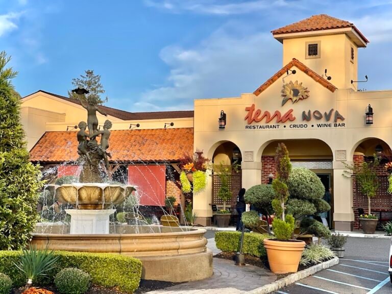 terra nova 3 768x576