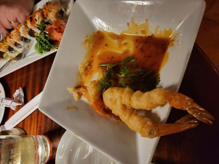 terra nova 8 768x576