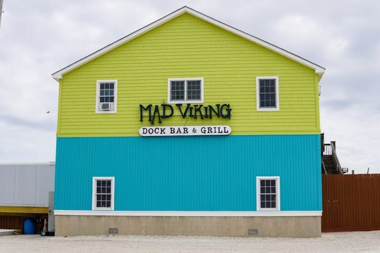 the mad viking 1 768x512