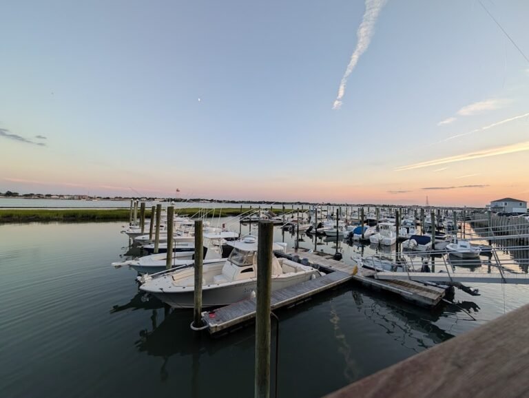 the mad viking 3 768x578