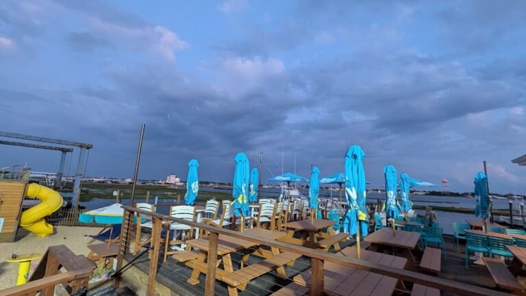 the mad viking 6 768x432