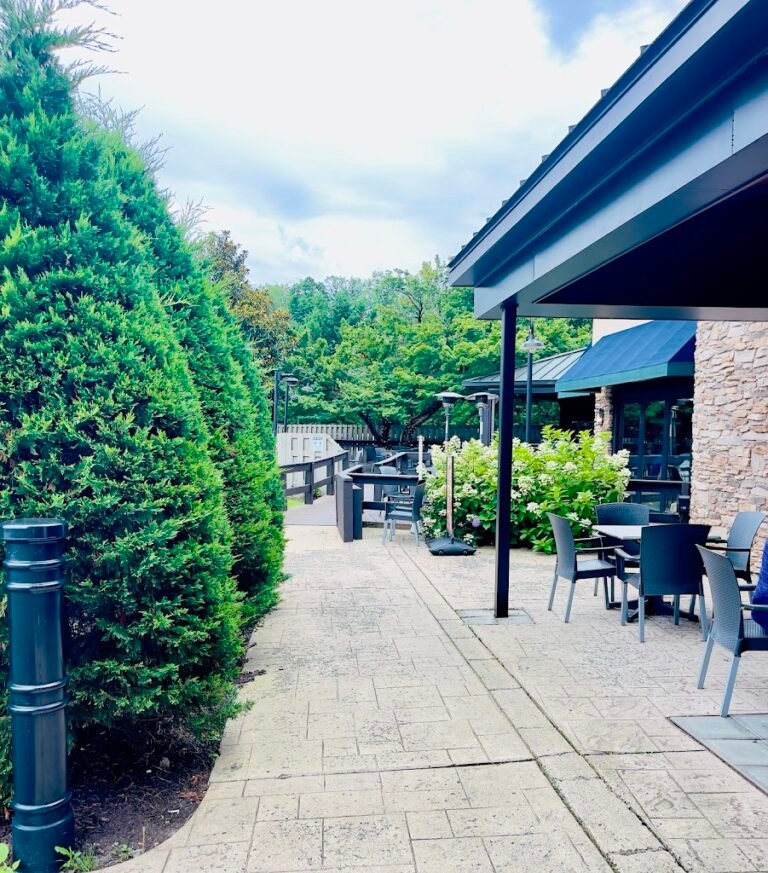 the tap room featuring santuccis original square pizza 10 768x873