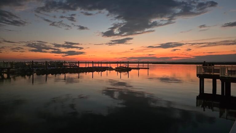 tomatoes restaurant 6 768x433