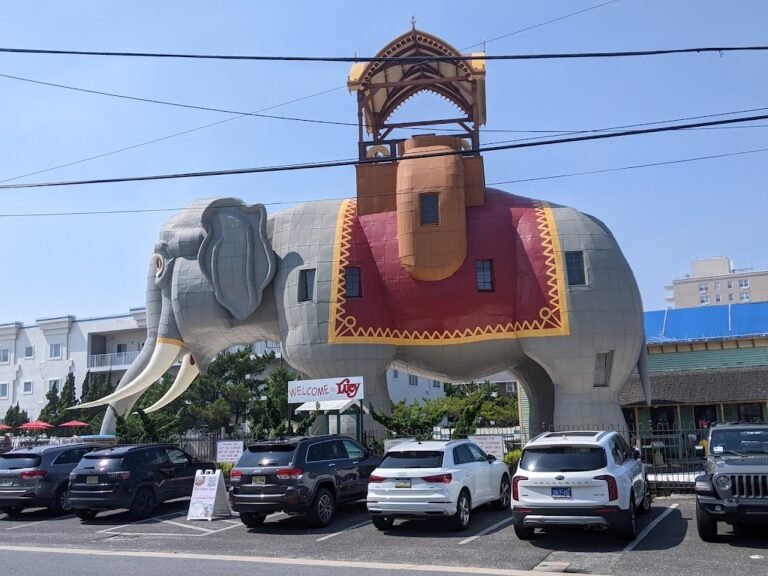 venturas greenhouse 4 768x576