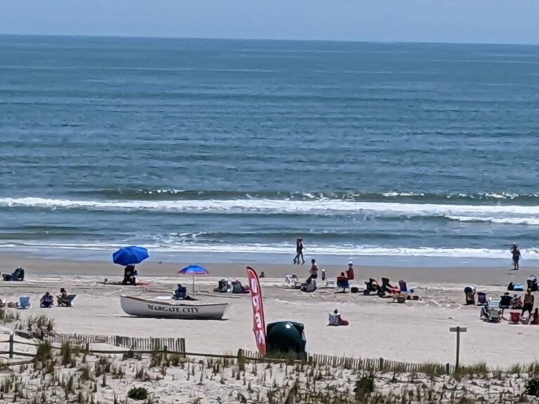 venturas greenhouse 8 768x576