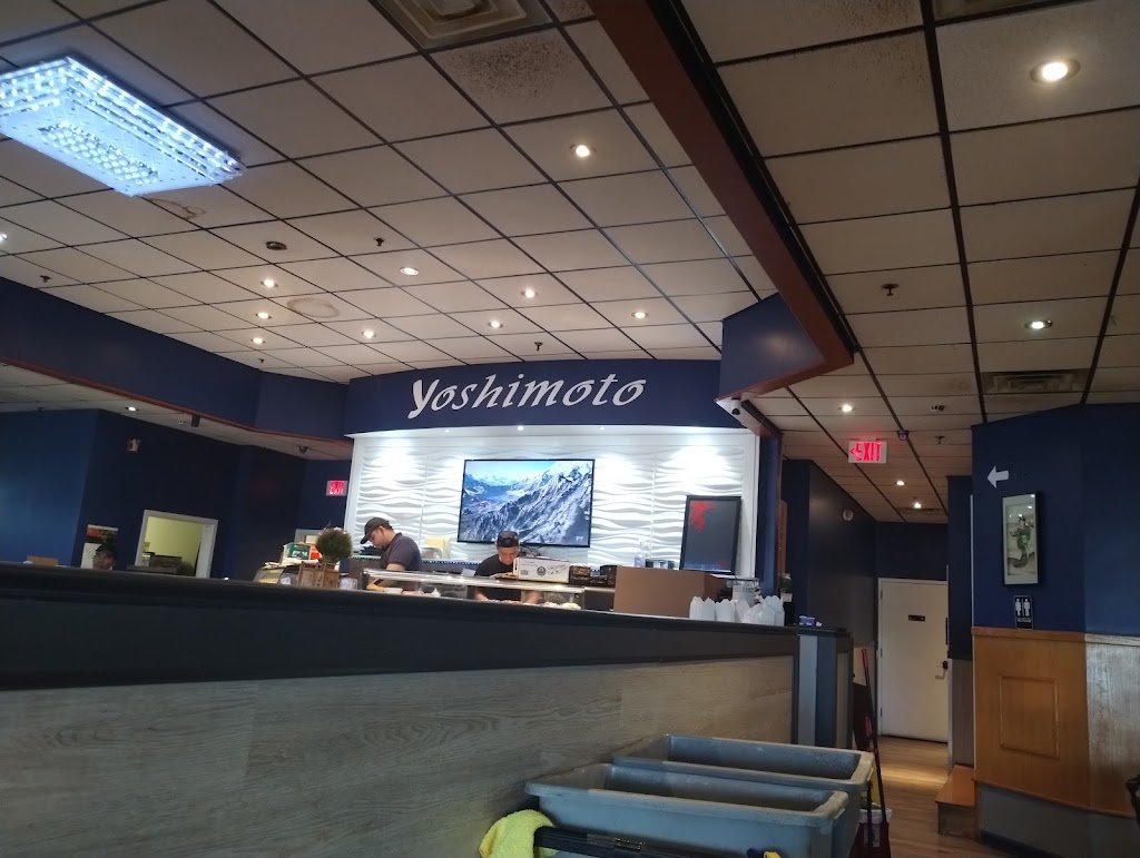 yoshimoto 10