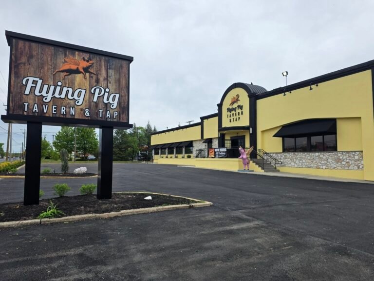 flyingpig 768x576